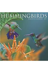 Hummingbirds 2019 Wall Calendar