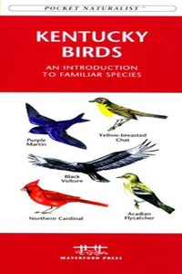 Los Angeles Birds