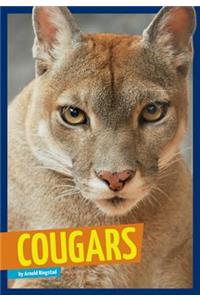 Cougars