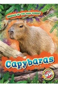 Capybaras