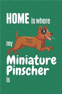 Home is where my Miniature Pinscher is