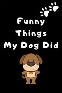 Funny things my dog did