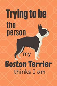 Trying to be the person my Boston Terrier thinks I am