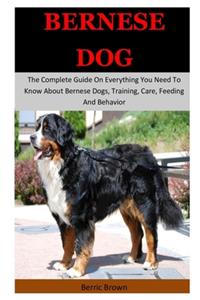 Bernese Dog