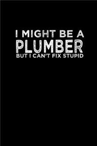 I might be a plumber but I can't fix stupid