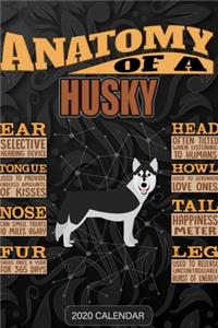 Anatomy Of A Husky