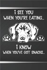 I See You When You're Eating I Know When You've Got Snacks Notebook Journal