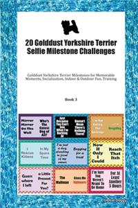 20 Golddust Yorkshire Terrier Selfie Milestone Challenges