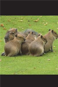 The Capybara Family Photo Journal