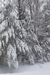 2019 Weekly Planner Winter Breathtaking Snow Photo 134 Pages