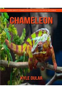 Chameleon! Learn about Chameleon and Enjoy Colorful Pictures