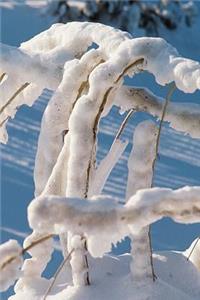 2019 Daily Planner Winter Theme Snow Covered Twigs 384 Pages
