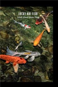 Lucky Koi Fish 6-Month Undated Calendar Planner
