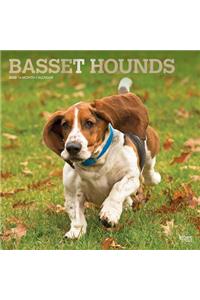 Basset Hounds 2020 Square Foil