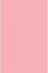 Sketchbook Pink: Sketchbook 5.25 X 8, Sketchbook 200 Pages: Sketchbook No Lines, Sketchbook 200 Pages, Sketchbook Journal, Sketchbook for Drawing, Sketchbook Notebook