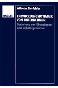Entwicklungsdynamik von Unternehmen