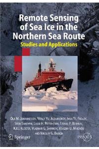 Remote Sensing of Sea Ice in the Northern Sea Route