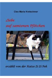 Liebe auf samtenen Pfötchen