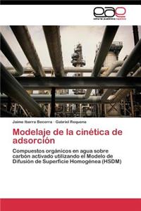 Modelaje de la cinética de adsorción