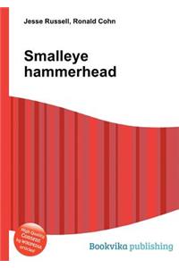 Smalleye Hammerhead