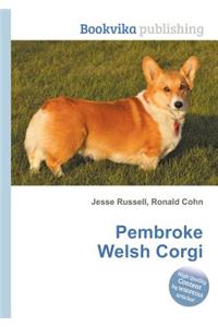 Pembroke Welsh Corgi