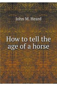 How to tell the age of a horse
