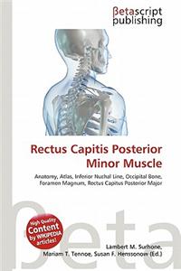 Rectus Capitis Posterior Minor Muscle