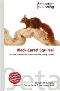 Black-Eared Squirrel