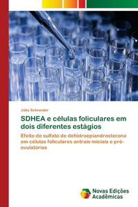 SDHEA e células foliculares em dois diferentes estágios