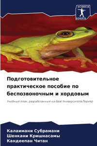 Подготовительное практическое пособие п&
