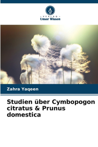 Studien über Cymbopogon citratus & Prunus domestica