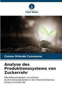 Analyse des Produktionssystems von Zuckerrohr