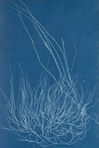 New Realities - Photography in the 19th Century