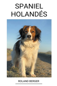 Spaniel Holandes