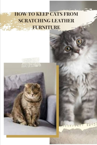 How TО Keep Cats from ScratchІng Leather Furniture