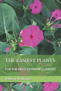 Easiest Plants