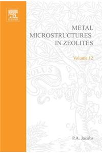 Metal Microstructures in Zeolites