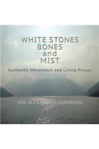 White Stones, Bones, and Mist