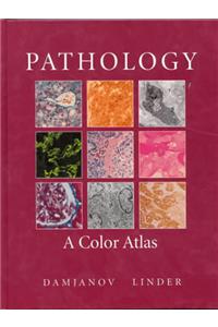 Pathology: A Color Atlas