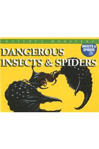 Dangerous Insects & Spiders