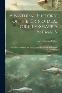 A Natural History of the Crinoidea, or Lily-shaped Animals