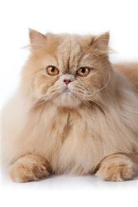 Persian