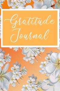 Gratitude Journal
