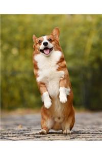 CORGI Composition Notebook