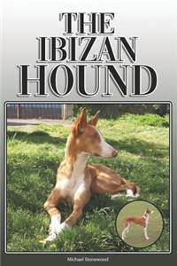 Ibizan Hound