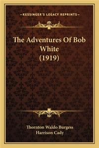 Adventures of Bob White (1919)