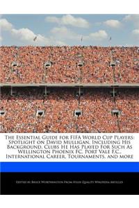 The Essential Guide for Fifa World Cup Players