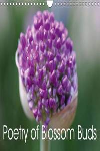 Poetry of Blossom Buds 2016