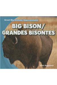 Big Bison/Grandes Bisontes