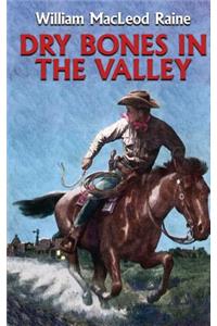 Dry Bones in the Valley